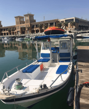 Cruises and a tararid boat for rent