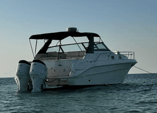 Sea Ray yacht rental for trips to all islands